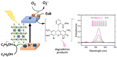 Graphical abstract: Synergistic dye/photocatalyst interconnections for activating efficient light-induced degradation pathways
