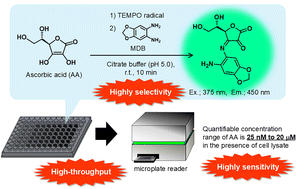 Graphical abstract: Development of a highly sensitive, highly selective and high-throughput method for determination of total ascorbic acid