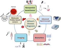 Graphical abstract: Advancements in diagnostic approaches for Wilson's disease