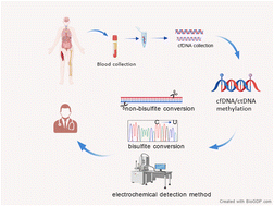 Graphical abstract: Circulating tumour DNA methylation: unlocking a new chapter in cancer diagnosis and treatment