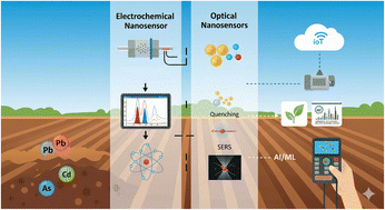 Graphical abstract: Emerging nanosensor technologies for the rapid detection of heavy metal contaminants in agricultural soils