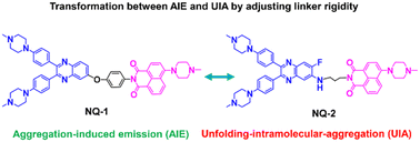 Graphical abstract: AIE and UIA-featured fluorescent ligands for G-quadruplex: the impact of linker rigidity between recognition moiety and fluorophore