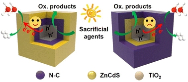 Graphical abstract: A regulated TiO2@NC@ZCS photocatalyst for efficient hydrogen evolution: insights into the role of carbon layer positioning
