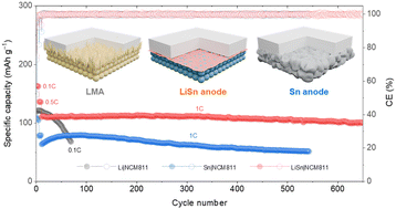 Graphical abstract: An ultra-stable prelithiated Sn anode for sulfide-based all-solid-state Li batteries