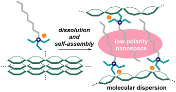 Graphical abstract: A cellulose-stimulated self-assembling solvent for molecular dispersion of cellulose