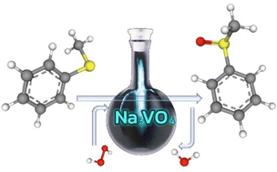 Graphical abstract: On the sulfide oxidation to sulfoxides using sodium orthovanadate in water