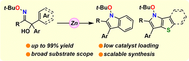 Graphical abstract: Zinc(ii)-catalysed cyclocondensation of oxime ethers triggered by polarity inversion: construction of fused pyrroles