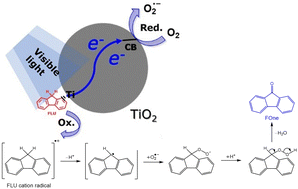 Graphical abstract: C–H bond activation of fluorene over a TiO2 photocatalyst by ligand-to-metal charge transfer under visible light irradiation