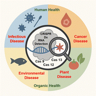 Graphical abstract: CRISPR–Cas based platforms for RNA detection: fundamentals and applications