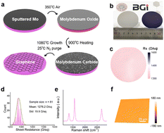 Graphical abstract: Transfer-free growth of wafer-level graphene via a Mo sacrificer