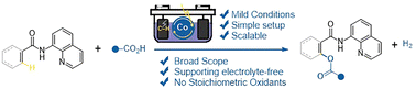 Graphical abstract: Cobaltaelectro-catalyzed C–H acyloxylation of aromatic and vinylic amide derivatives at room temperature