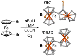 Graphical abstract: Synthesis and structural characterization of the racemic and meso forms of 2,2′′-dibromo-1,1′′-biferrocenes and their mixed-valence salts