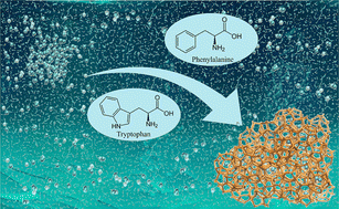Graphical abstract: The nucleation and growth of methane hydrates in the presence of phenylalanine and tryptophan: a comparative molecular dynamics simulation study