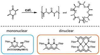 Graphical abstract: Mono- and dinuclear β-oxo-δ-diiminate (BODDI) based catalysts for the ring-opening polymerization of l-lactide
