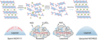 Graphical abstract: Scalable upcycling of spent LiNixCoyMn1−x−yO2 to single-crystal Ni-rich cathodes using a low-cost, multifunctional Ni salt