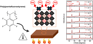 Graphical abstract: Halogenated polystyrene derivatives passivate and prevent volatilization in inverted perovskite solar cells