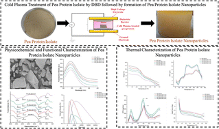 Graphical abstract: Dielectric barrier discharge cold plasma-modified pea protein nanoparticles: enhancing functional and thermal properties for food and biopolymer applications