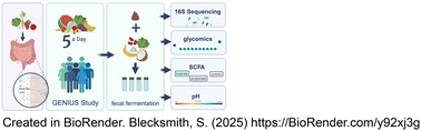 Graphical abstract: Fecal microbiomes from healthy adult consumers of fruits and vegetables exhibit fiber- and donor-specific fermentation: “5 a day” is not enough