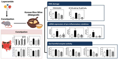 Graphical abstract: Effects of lyophilized Korean rice wine (Makgeolli) on intestinal function and bowel activity in loperamide-induced constipation in rats