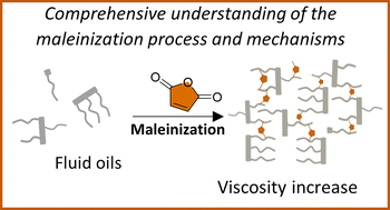 Graphical abstract: The reaction of maleic anhydride with alkenes: a review on the mechanisms involved in the reaction of maleic anhydride with lipids