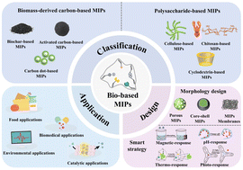 Graphical abstract: Advances in biomass-based molecularly imprinted polymers: from sustainable design to diverse applications