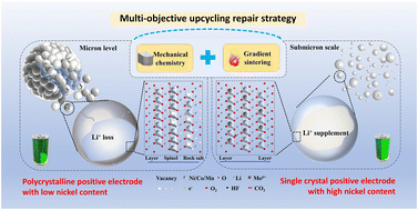Graphical abstract: Upcycling spent polycrystal LiNi1/3Co1/3Mn1/3O2 cathodes into single-crystal Ni-rich materials via the “four-in-one” upcycling regeneration strategy