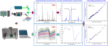 Graphical abstract: Comparing atomic spectroscopy, molecular spectroscopy and multi-source spectroscopy synergetic fusion for quantitation of total potassium in culture substrates