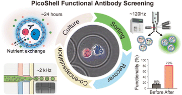 Graphical abstract: Functional screening of antibody-secreting cells by co-culture with reporter T cells using PicoShells