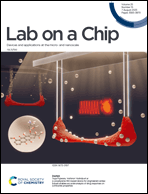 Graphical abstract: Front cover