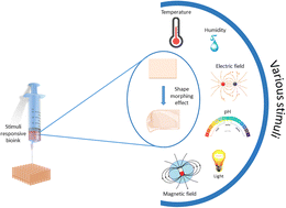 Graphical abstract: A review of stimuli-responsive materials in 4D bioprinting for biomedical applications