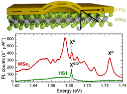 Graphical abstract: Interplay between charge transfer and magnetic proximity effects in WSe2/CrCl3 heterostructures