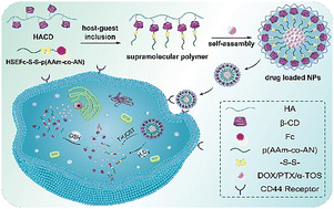 Graphical abstract: Fabrication of a hyaluronic acid-targeted supramolecular delivery platform with multi-mode drug release