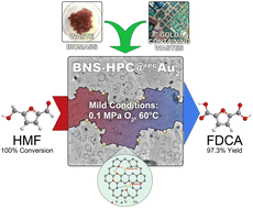 Graphical abstract: Recovered gold on biomass-based hierarchical porous carbon as a catalyst for 5-hydroxymethylfurfural oxidation