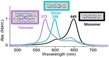 Graphical abstract: Tunable and robust optical and structural properties of a cooperative squaraine-dye aggregate-DNA DX-DAE tile system