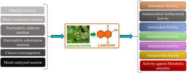 Graphical abstract: Advancements in synthetic methodologies and biological applications of lawsone derivatives