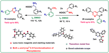 Graphical abstract: Oxidative annulation of l-phenylalanine using I2/DMSO: an easy approach for chemoselective synthesis of 2,3,5-trisubstituted pyridines and 2,5-disubstituted oxazoles