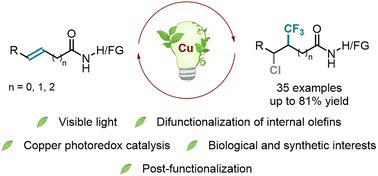 Graphical abstract: Cu-catalyzed photoredox chlorotrifluoromethylation of polysubstituted alkenes and pharmacological evaluation