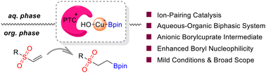 Graphical abstract: Cuprate ion-pair catalyzed conjugate borylation of vinyl sulfones in a biphasic system