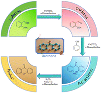 Graphical abstract: One-pot synthesis of xanthones from 2-nitrobenzyl alcohol and phenol catalyzed by Cu(OTf)2-1,10-phenanthroline