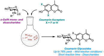 Graphical abstract: Systematic studies toward the synthesis of d-galactosamine-containing coumarin glycosides