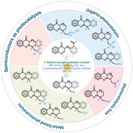 Graphical abstract: Recent advances in photo-induced synthesis of polycyclic quinazolinones from unactivated alkene-tethered quinazolinones