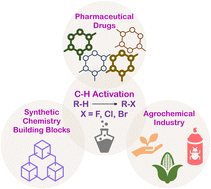 Graphical abstract: C(sp3)–H halogenation using first-row transition metal catalysts under homogeneous conditions