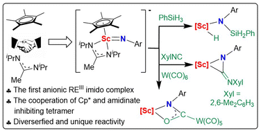 Graphical abstract: Synergism between cyclopentadienyl and amidinate ligands affording anionic scandium terminal imido complexes