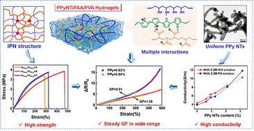 Graphical abstract: Strong and highly conducting PPyNT/PAA/PVA triple network hydrogel: scalable construction and strain sensing