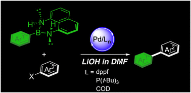 Graphical abstract: Direct Suzuki–Miyaura cross-coupling of C(sp2)–B(dan) bonds: designed in pursuit of usability