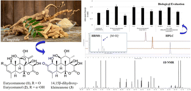Graphical abstract: Quassinoids from Malaysian Eurycoma longifolia significantly increased the expression of the melatonin biosynthesis-related enzyme gene (AANAT)