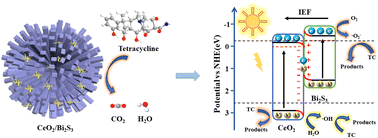 Graphical abstract: Internal electric field boosting visible photocatalytic degradation of antibiotics by flower-like CeO2/Bi2S3 S-scheme heterojunctions