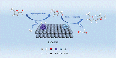 Graphical abstract: Fabrication of bimetallic RuCu/HAP catalysts for the selective synthesis of C11 biofuel precursors from biomass-based 5-methylfurfural