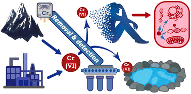 Graphical abstract: Hexavalent chromium at the crossroads of science, environment and public health