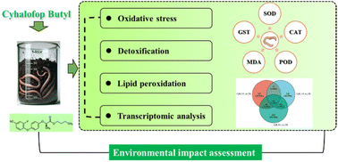 Graphical abstract: Earthworms under threat: assessing the environmental impact of cyhalofop-butyl herbicide on soil health and ecosystem sustainability